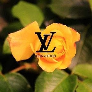 Meet your Posher, Katelyn